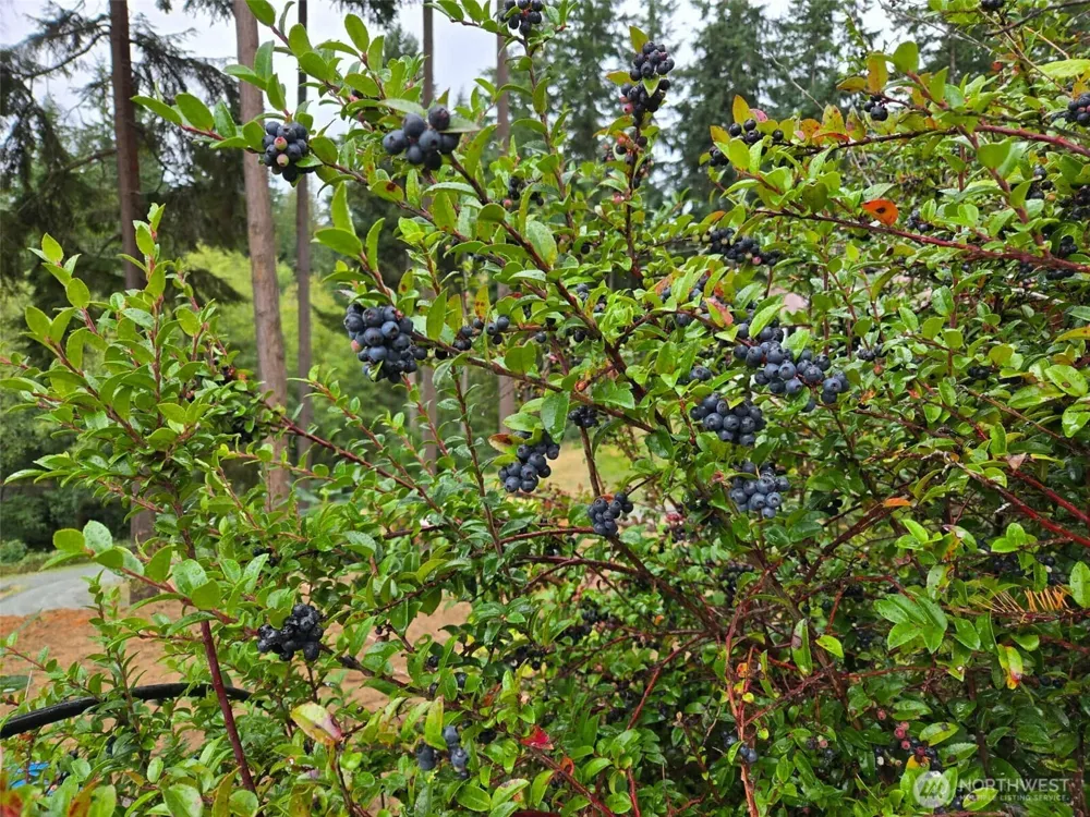 3681 Kingston Court Clinton, WA 98236