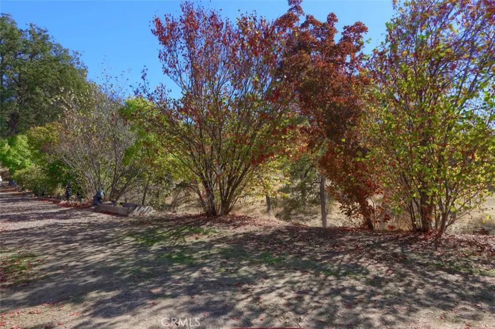4733 Hirsch Mariposa, CA 95338