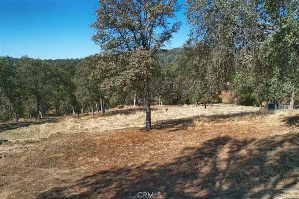 4733 Hirsch Mariposa, CA 95338