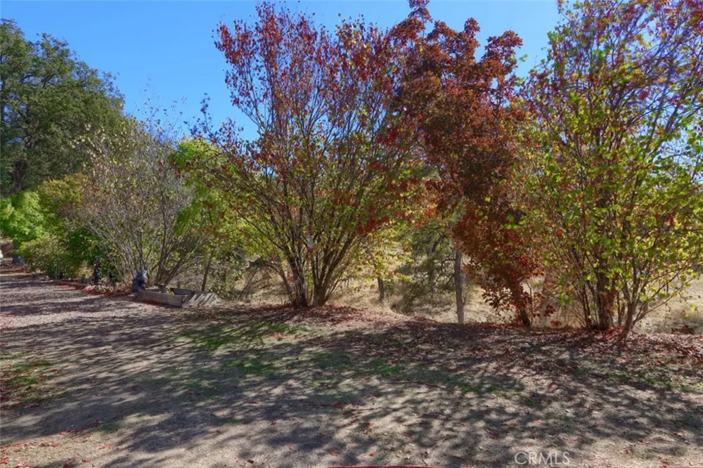 4733 Hirsch Mariposa, CA 95338