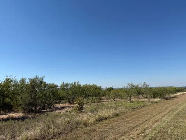 Fire Wheel Drive Possum Kingdom Lake, TX 76449