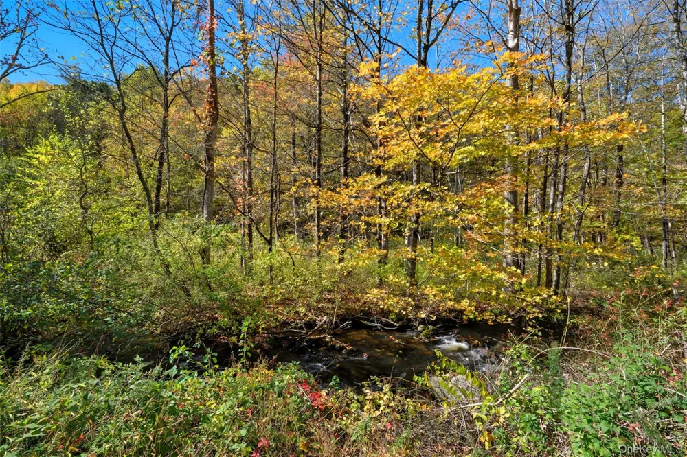 Wiccopee Road Putnam Valley, NY 10579