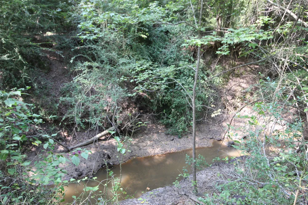CR 347 Palestine, TX 75802