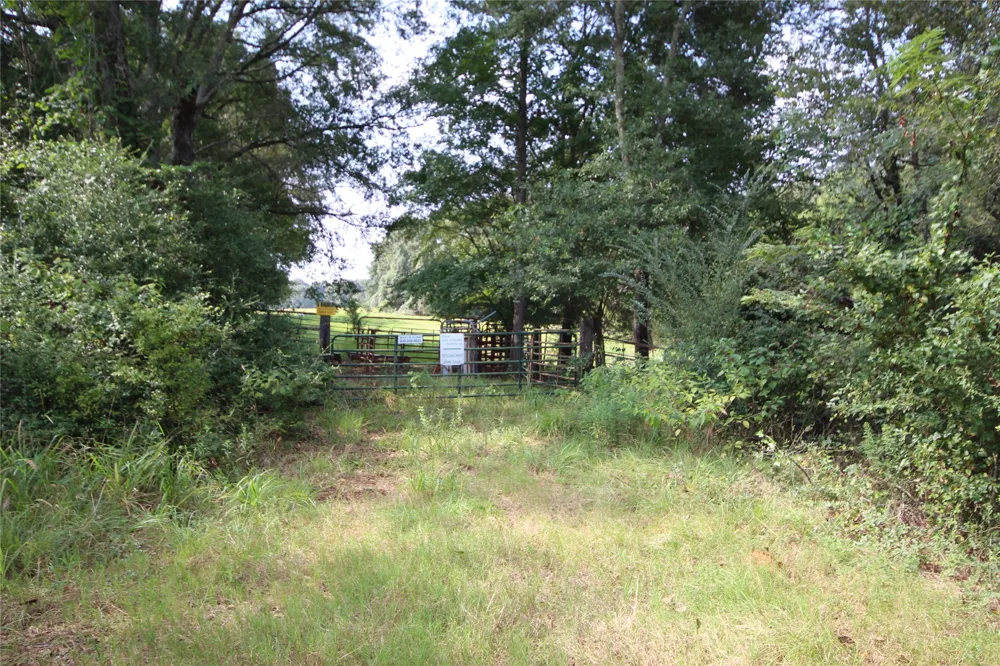 CR 347 Palestine, TX 75802