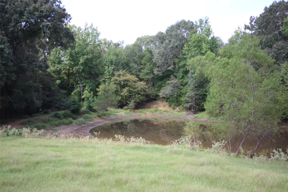 CR 347 Palestine, TX 75802