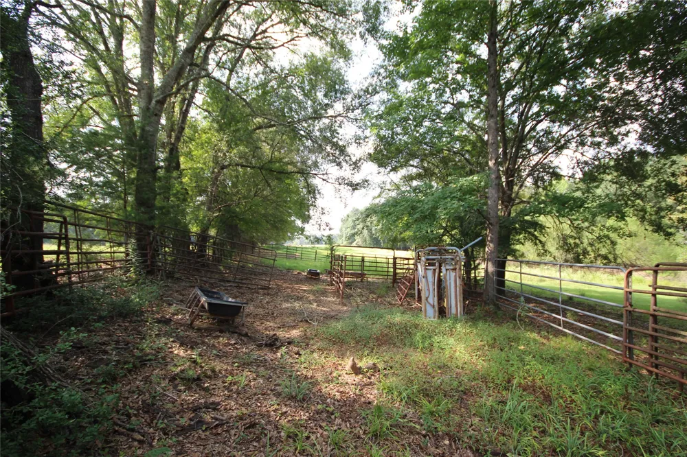 CR 347 Palestine, TX 75802