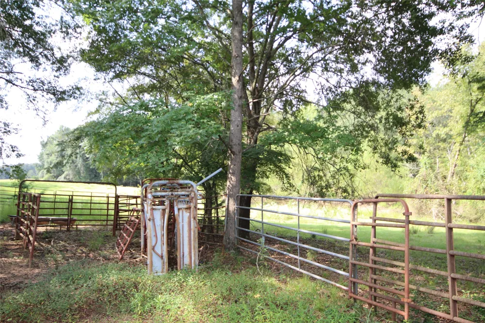 CR 347 Palestine, TX 75802