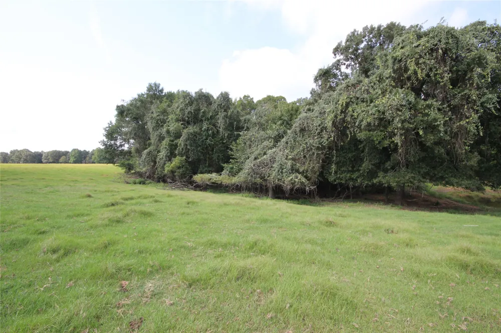 CR 347 Palestine, TX 75802