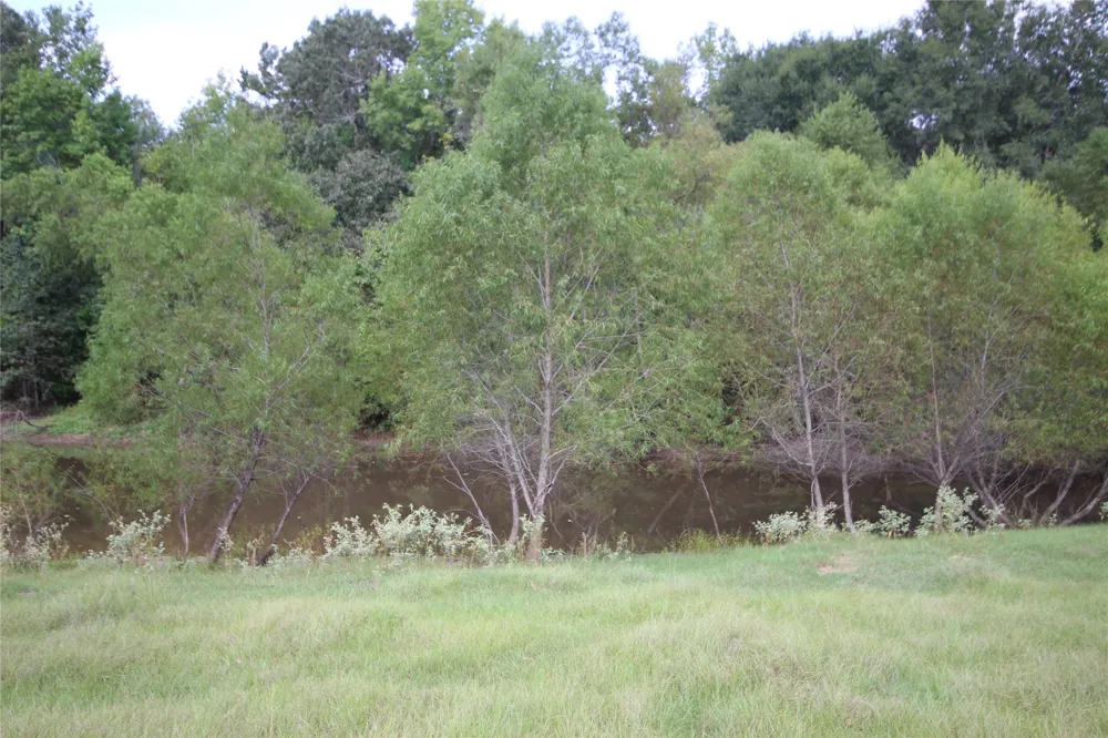 CR 347 Palestine, TX 75802