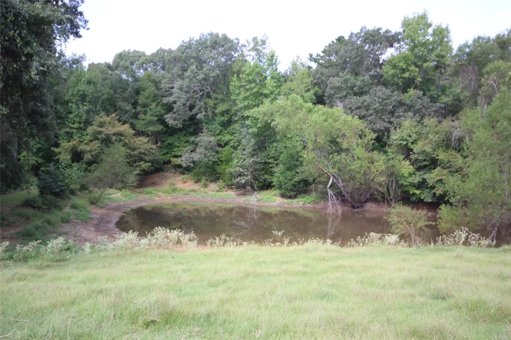 CR 347 Palestine, TX 75802