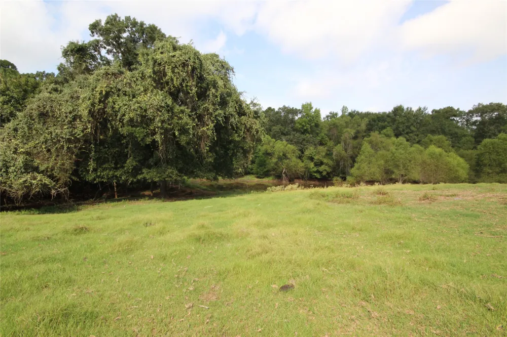 CR 347 Palestine, TX 75802
