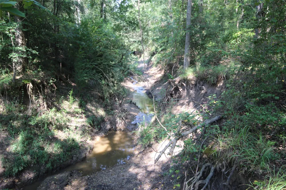 CR 347 Palestine, TX 75802