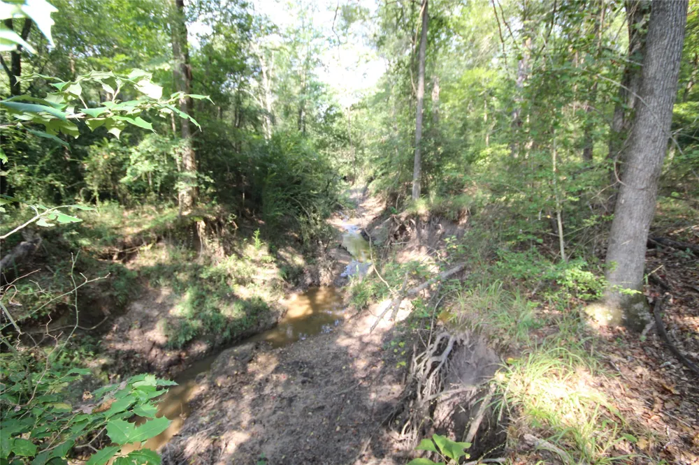 CR 347 Palestine, TX 75802