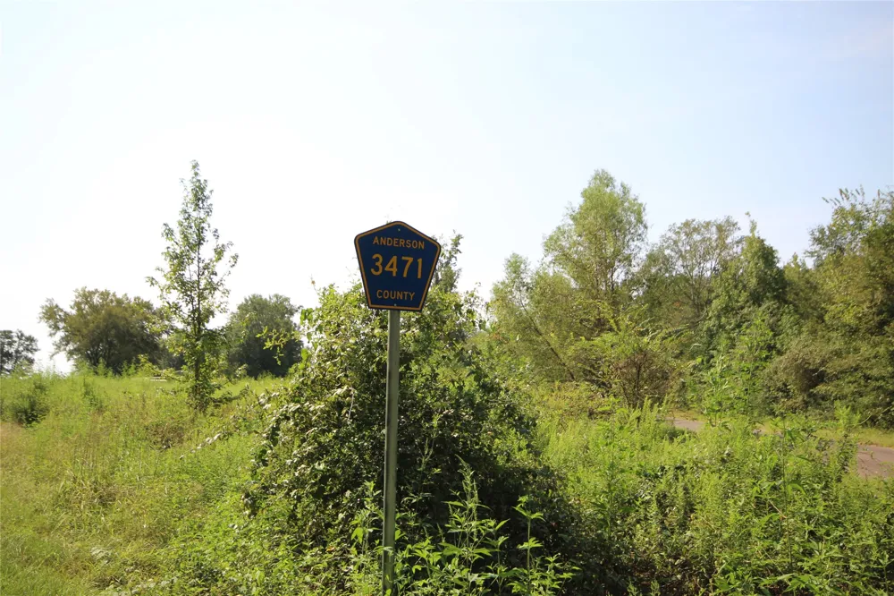 CR 347 Palestine, TX 75802