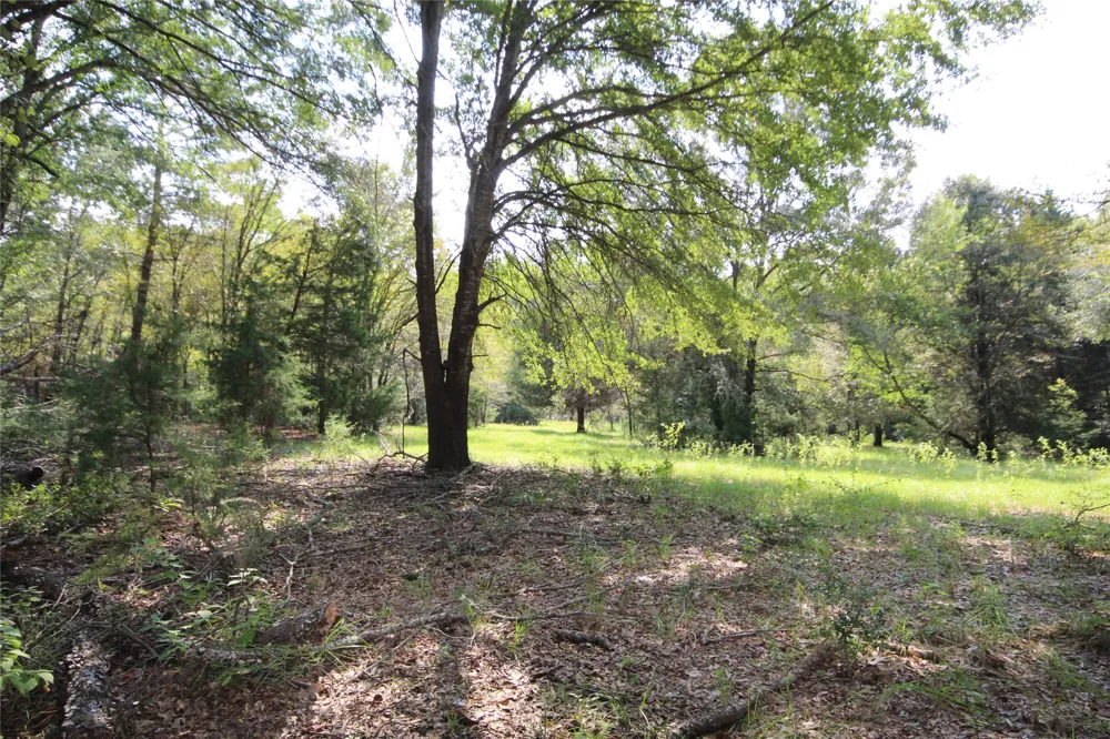 CR 347 Palestine, TX 75802