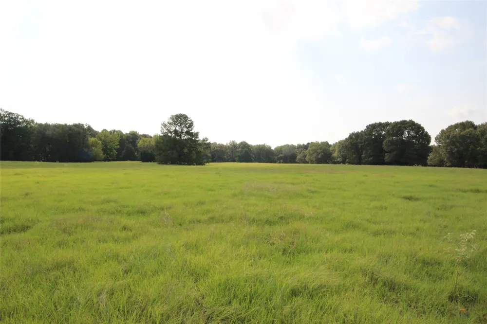 CR 347 Palestine, TX 75802