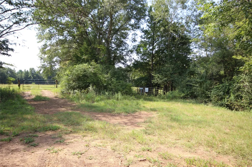 CR 347 Palestine, TX 75802