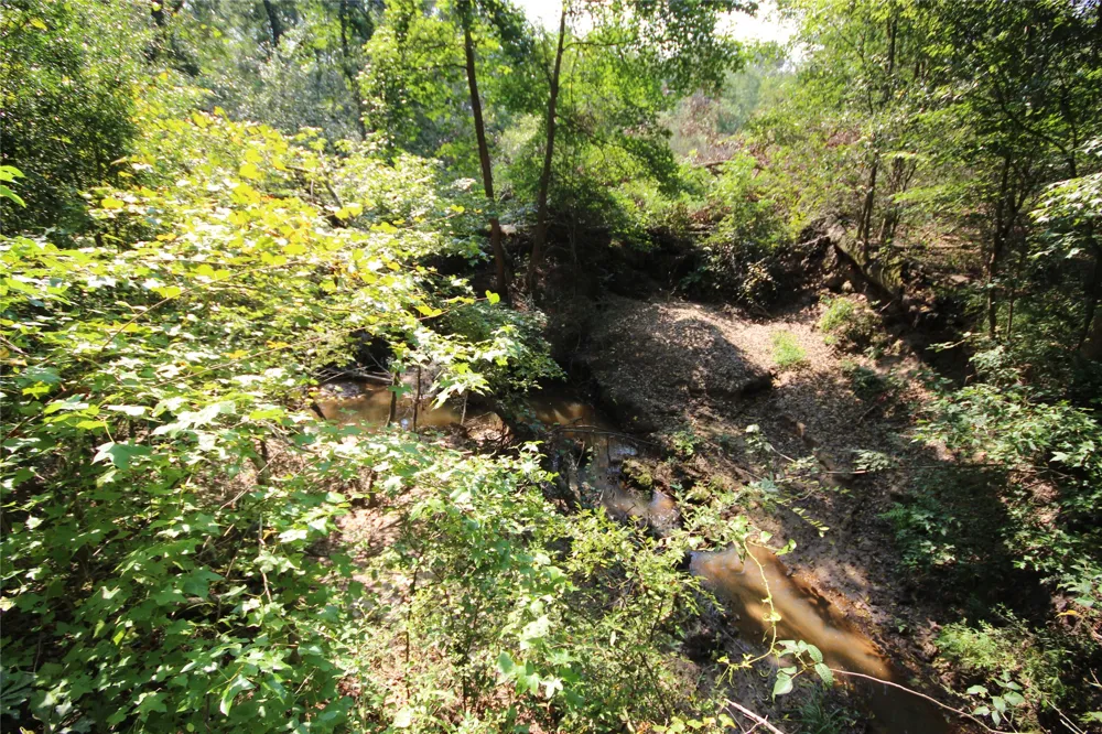 CR 347 Palestine, TX 75802