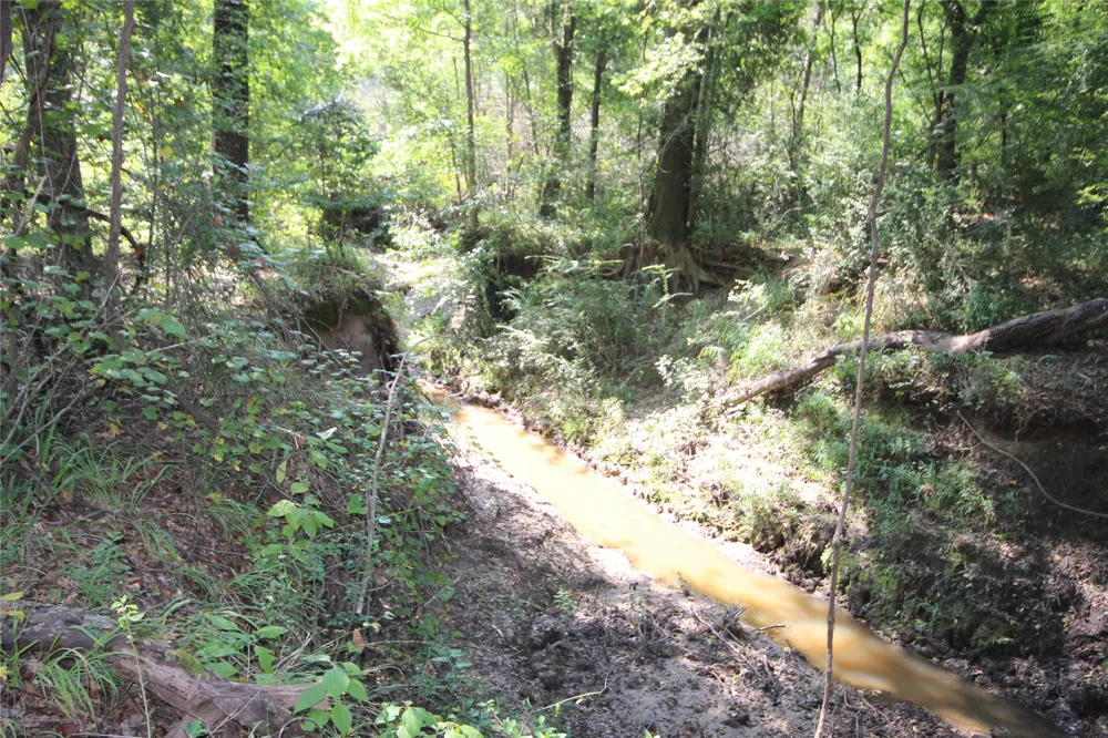 CR 347 Palestine, TX 75802