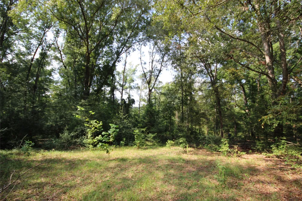 CR 347 Palestine, TX 75802
