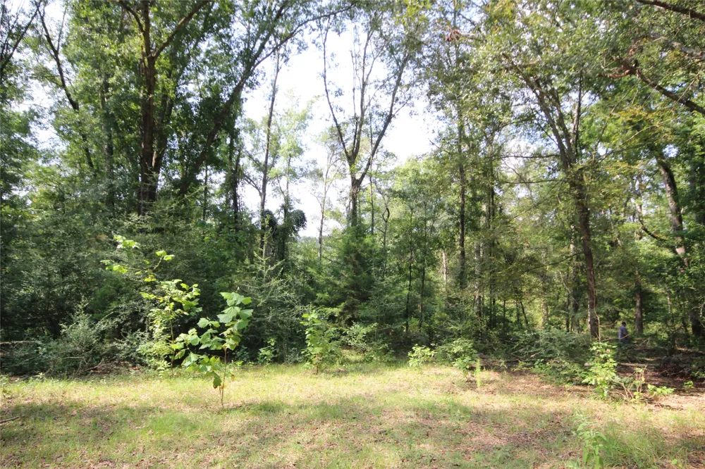 CR 347 Palestine, TX 75802