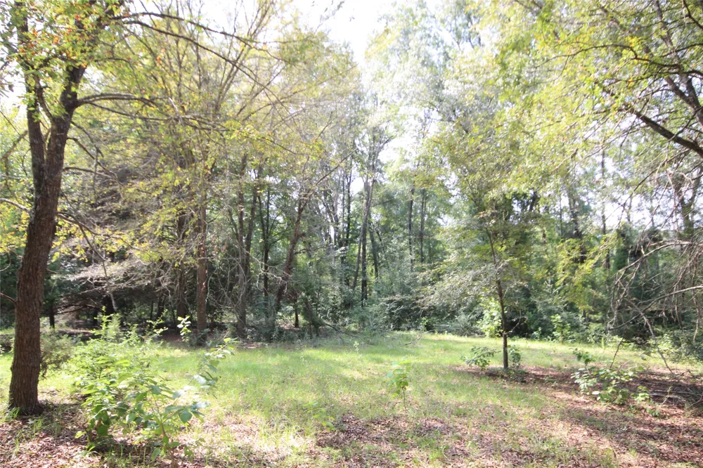 CR 347 Palestine, TX 75802