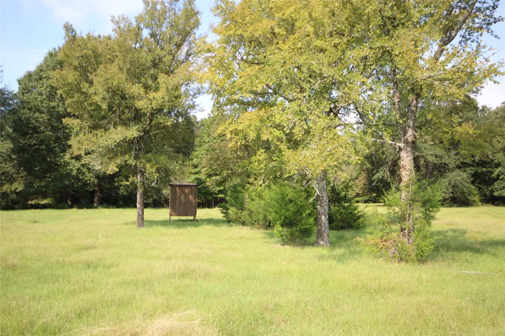 CR 347 Palestine, TX 75802