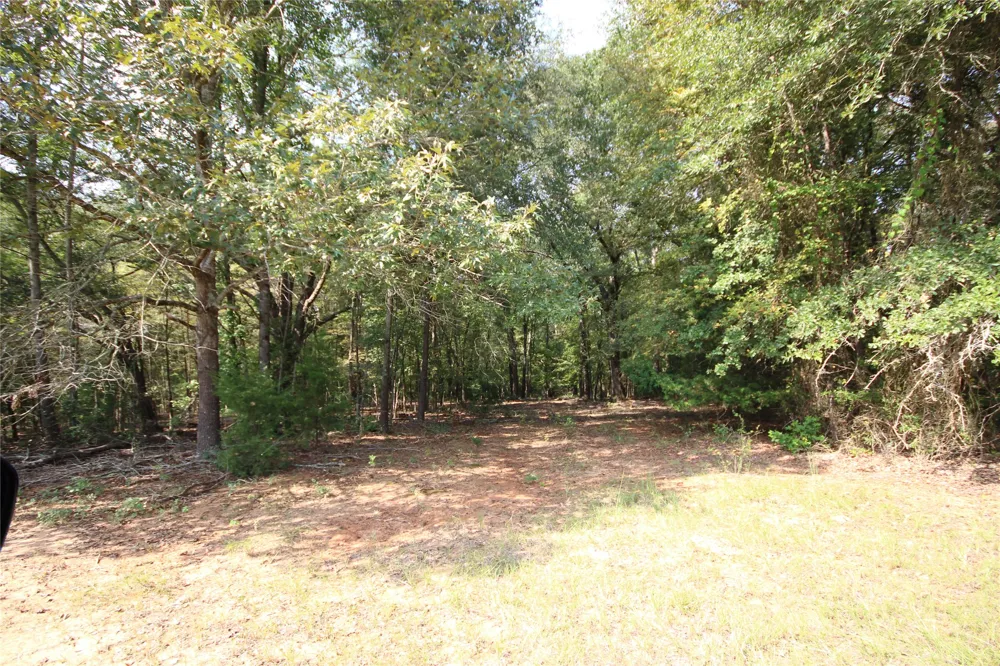 CR 347 Palestine, TX 75802