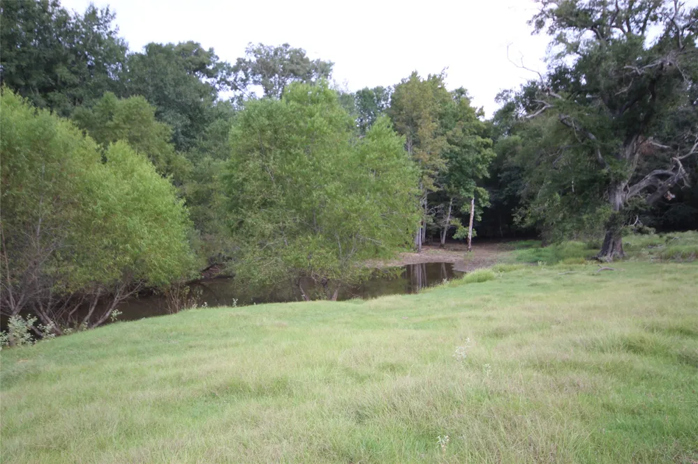 CR 347 Palestine, TX 75802