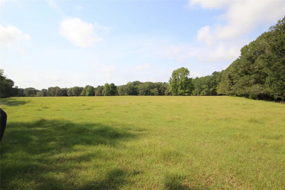 CR 347 Palestine, TX 75802