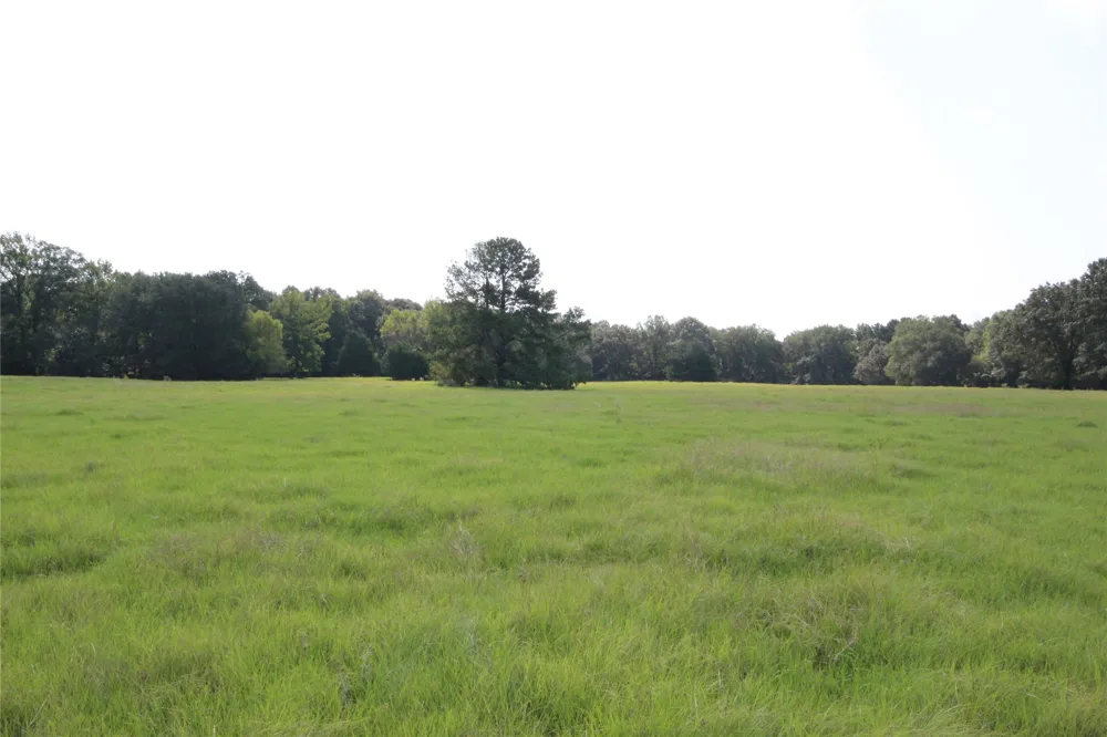 CR 347 Palestine, TX 75802
