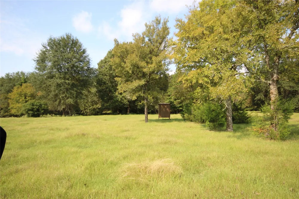 CR 347 Palestine, TX 75802