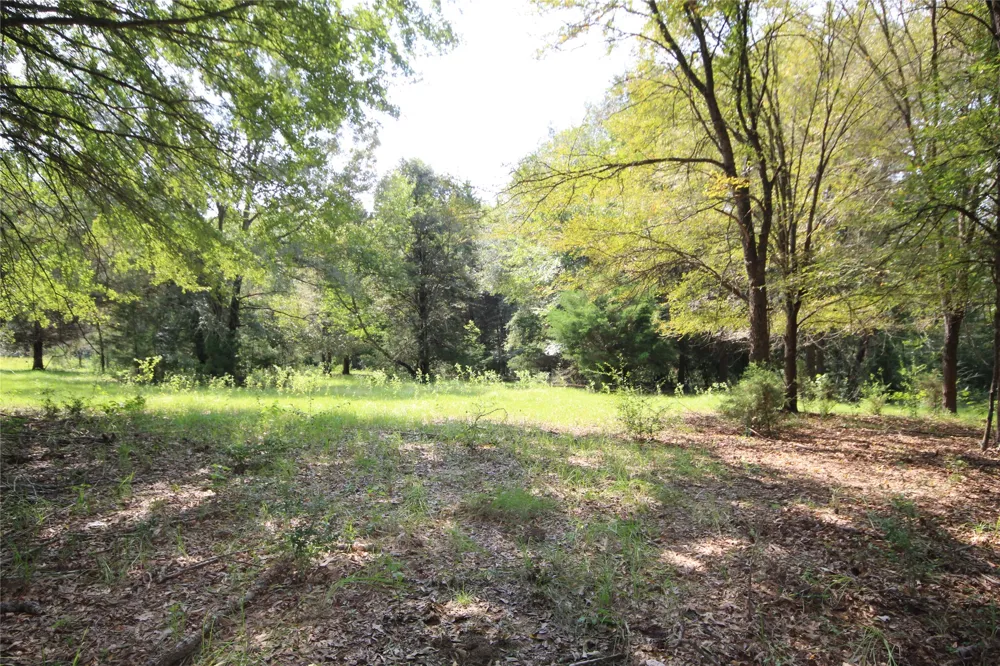 CR 347 Palestine, TX 75802