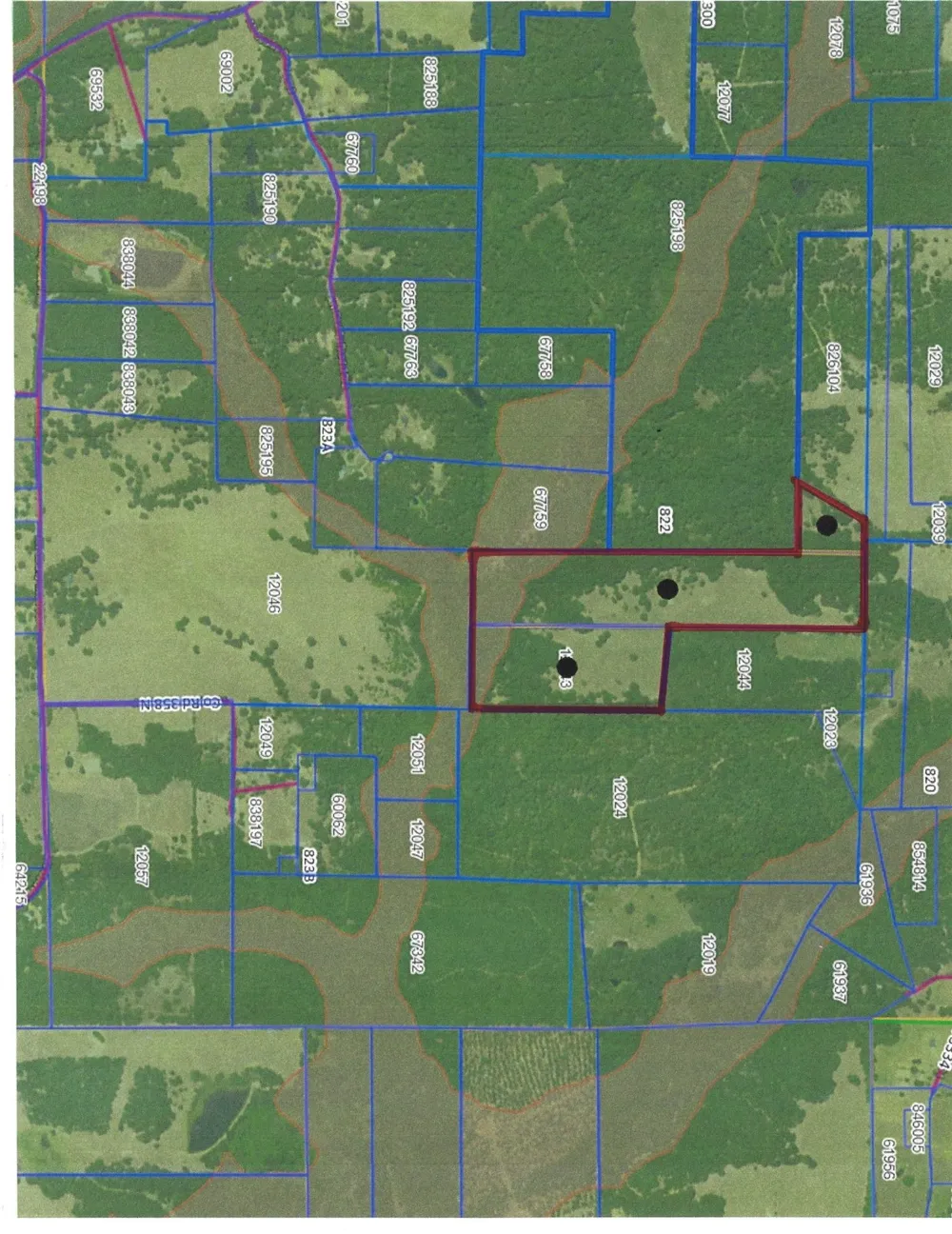 CR 347 Palestine, TX 75802
