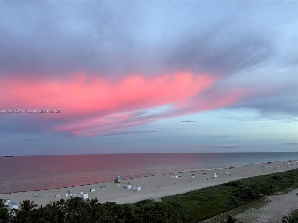 1455 Ocean Dr #1003 Miami Beach, FL 33139