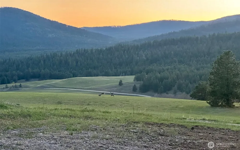 54 Hardrock Road Republic, WA 99166