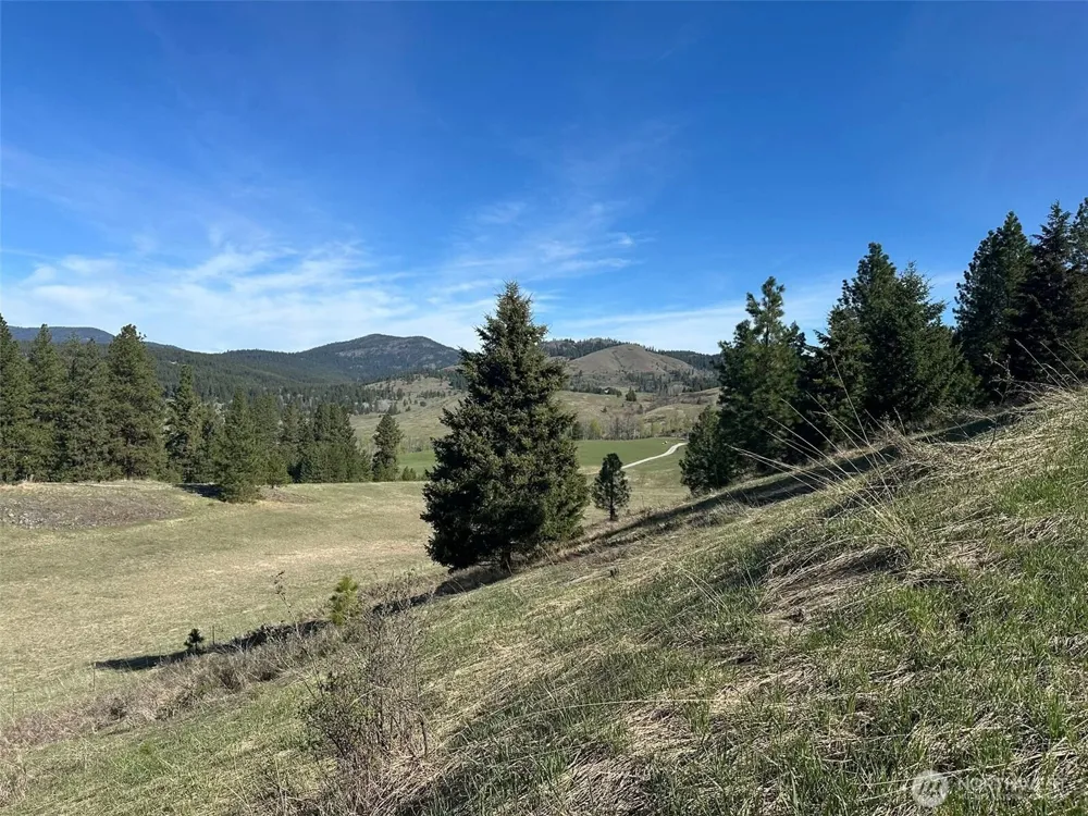 54 Hardrock Road Republic, WA 99166