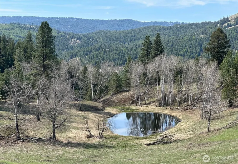 54 Hardrock Road Republic, WA 99166