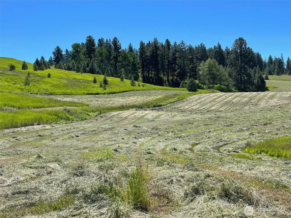 54 Hardrock Road Republic, WA 99166