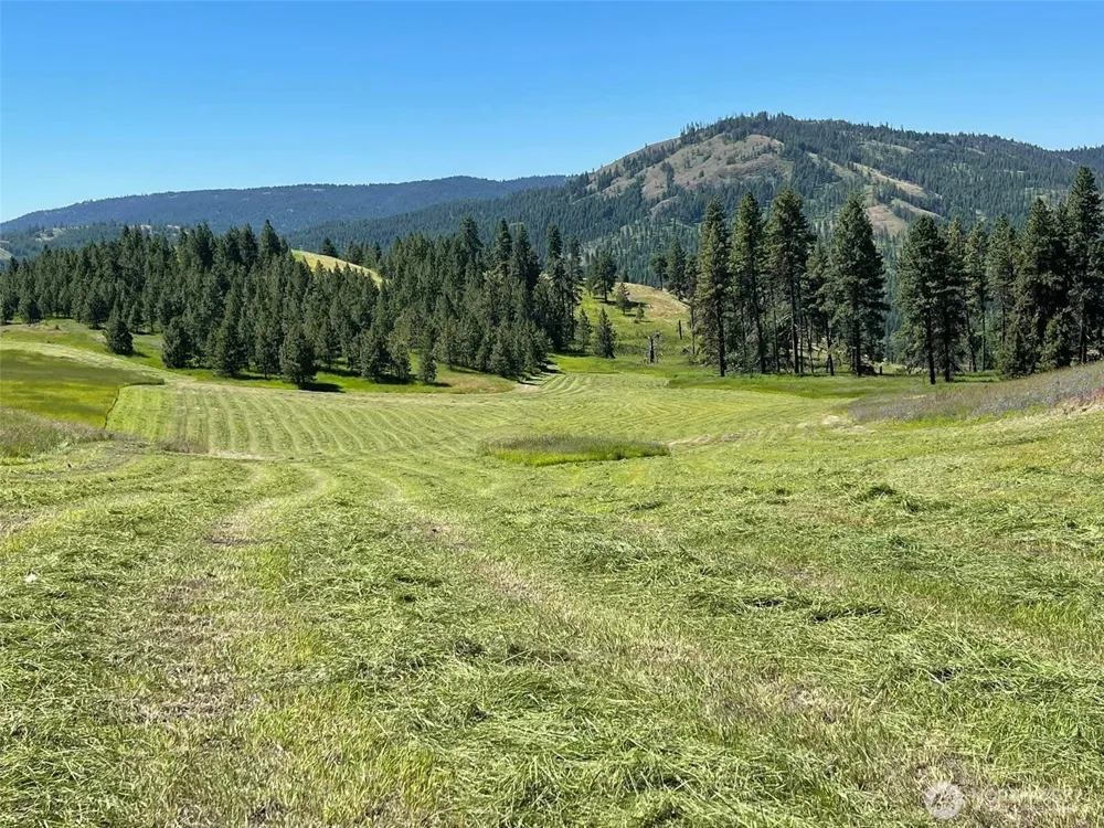 54 Hardrock Road Republic, WA 99166