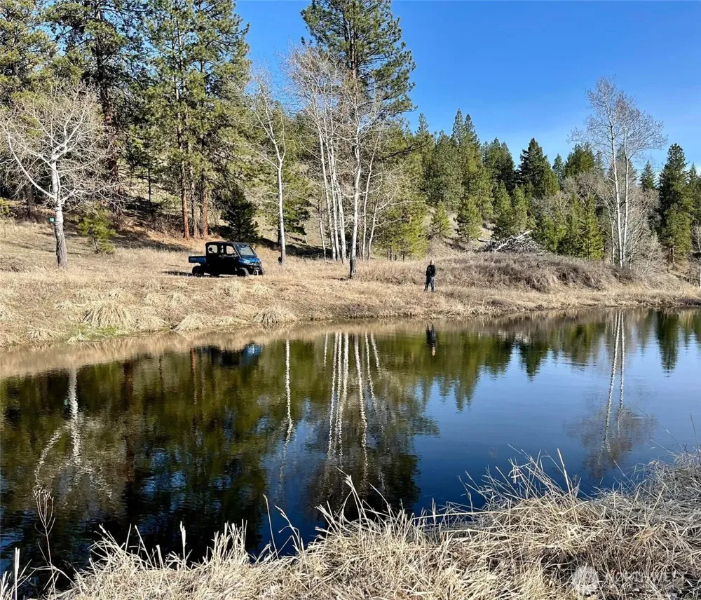 54 Hardrock Road Republic, WA 99166