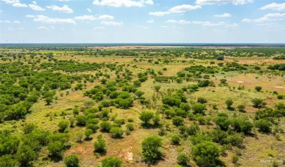 35700 FM 3250 S Linn, TX 78563