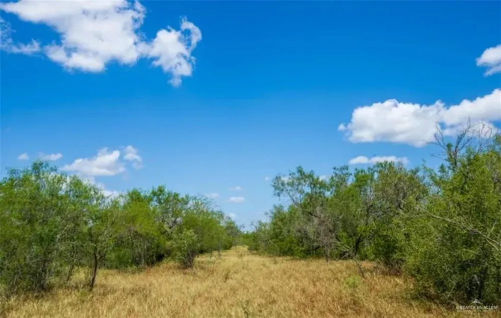 35700 FM 3250 S Linn, TX 78563
