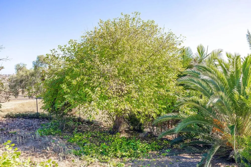 230 Hoover Street Oceanside, CA 92054