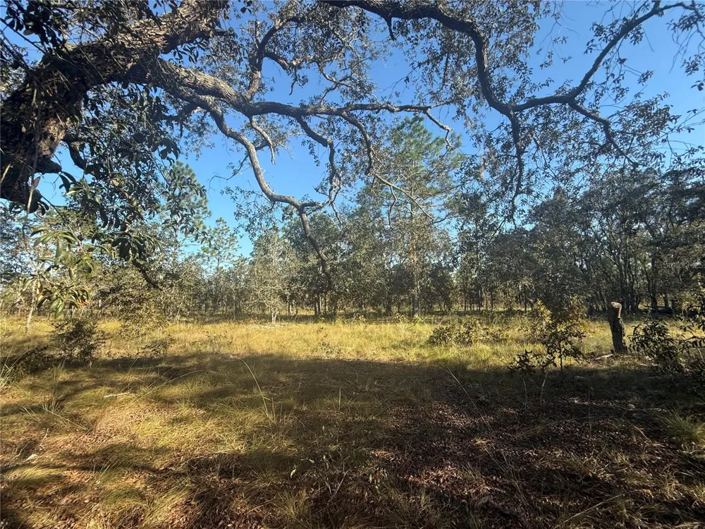 00 SE 73RD LANE Morriston, FL 32668