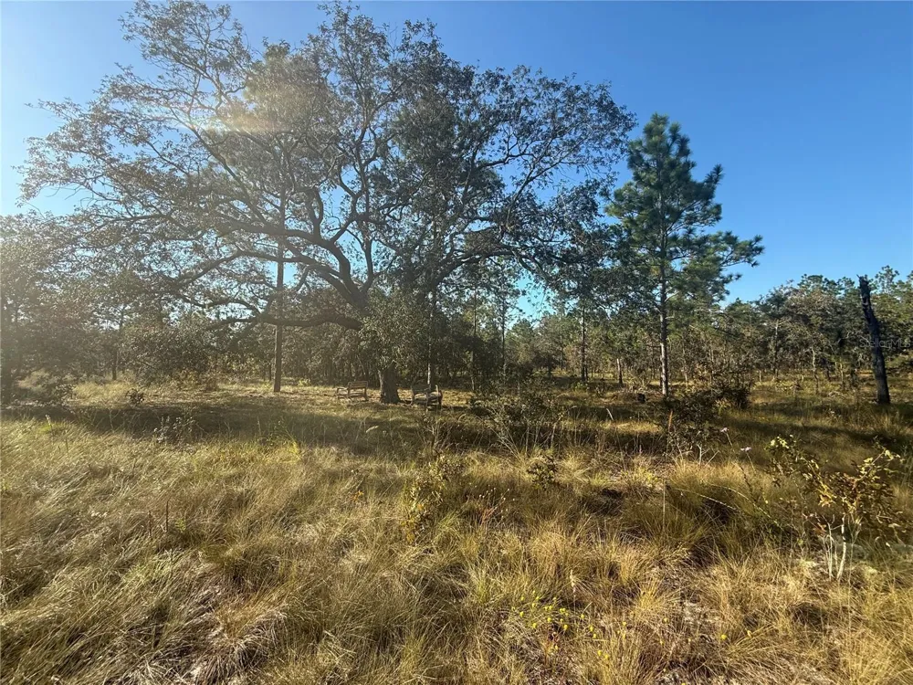 00 SE 73RD LANE Morriston, FL 32668