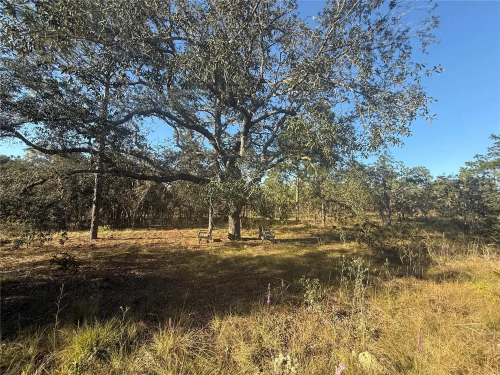 00 SE 73RD LANE Morriston, FL 32668