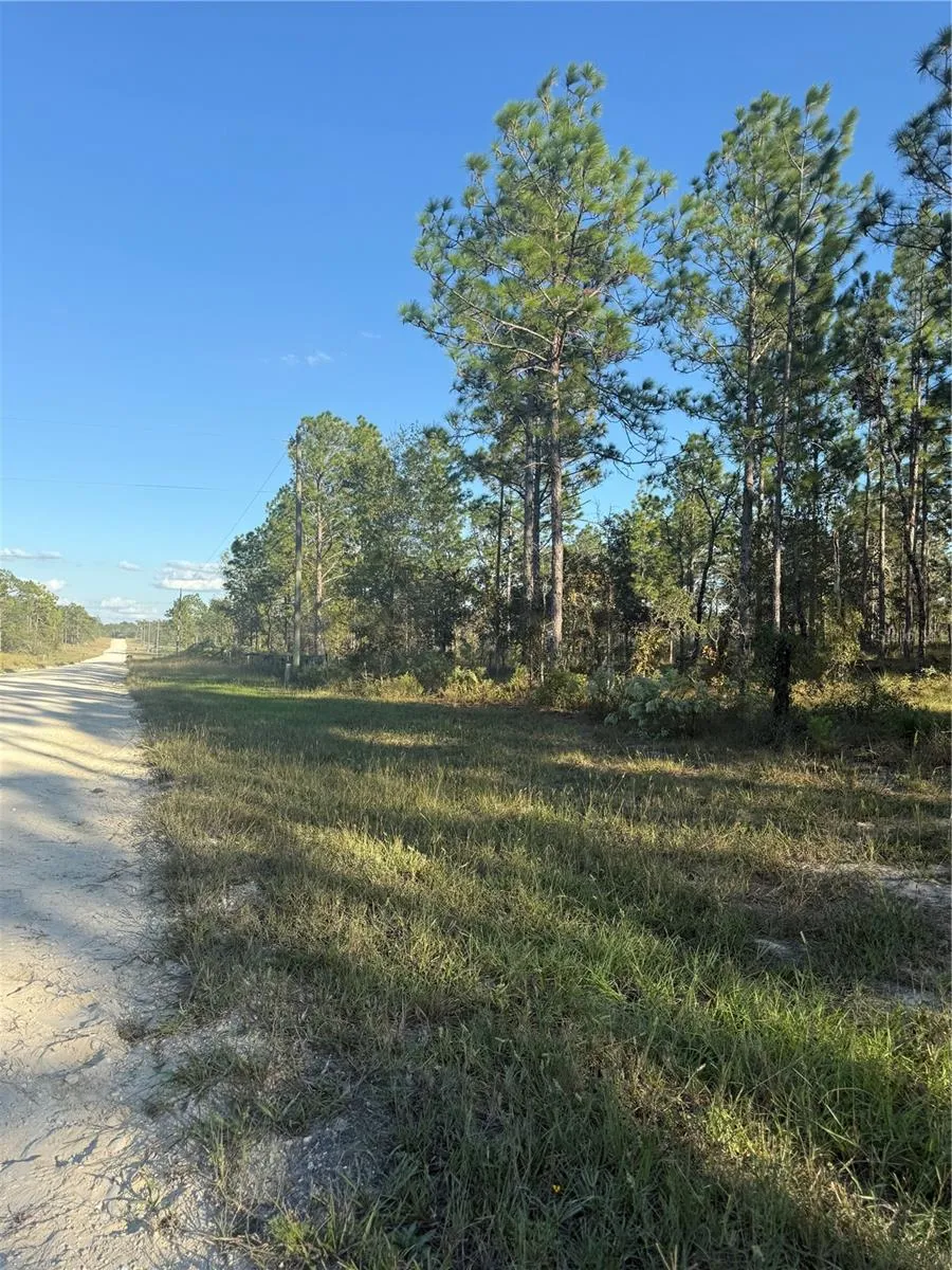 00 SE 73RD LANE Morriston, FL 32668
