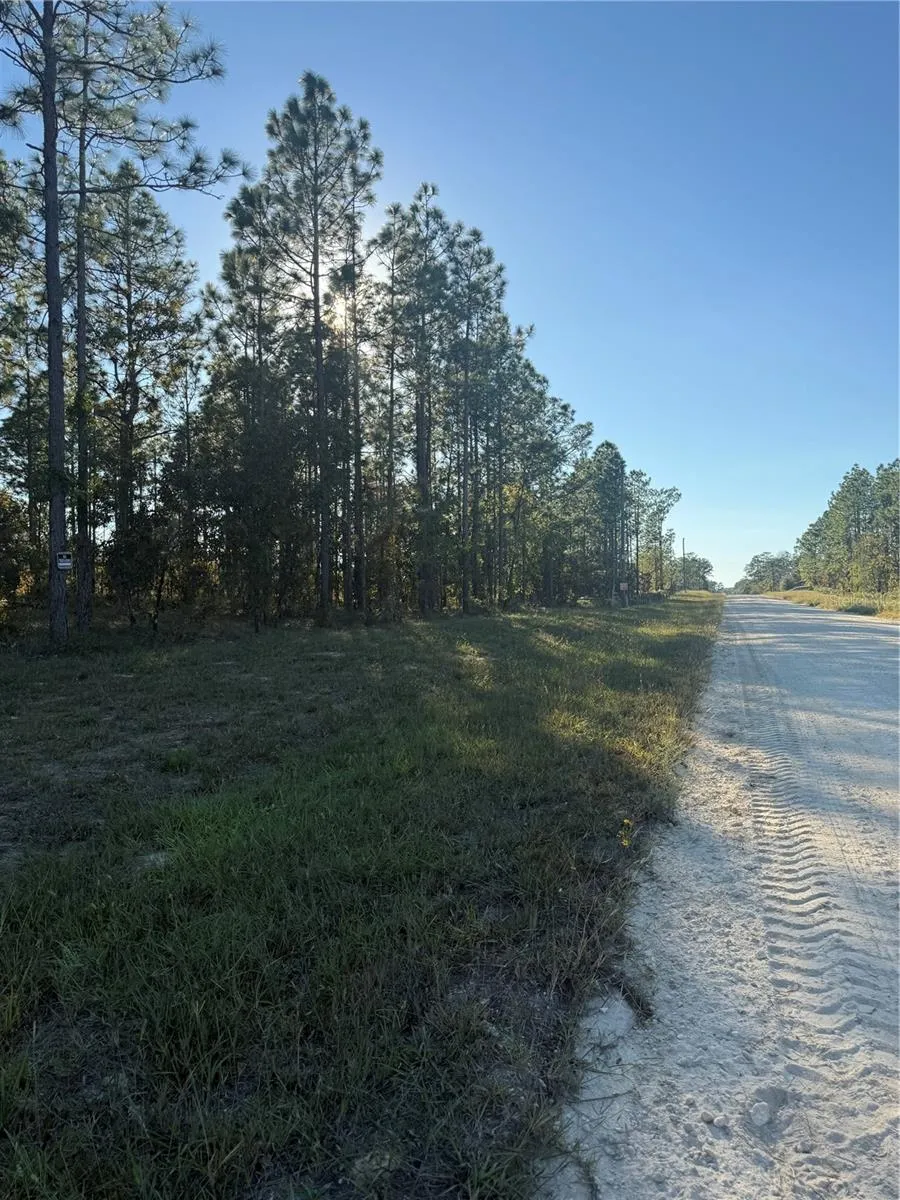 00 SE 73RD LANE Morriston, FL 32668