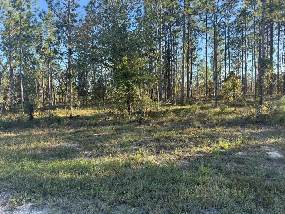 00 SE 73RD LANE Morriston, FL 32668